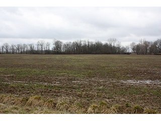 Property photo 5 - 438 +/- Acres Offered in 10 Tracts - Metcalf Farms - 6PM CST